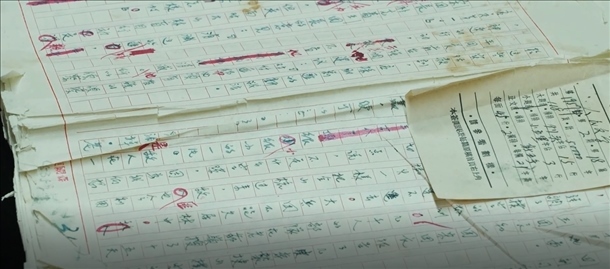 曲波《林海雪原》手稿。主辦方供圖