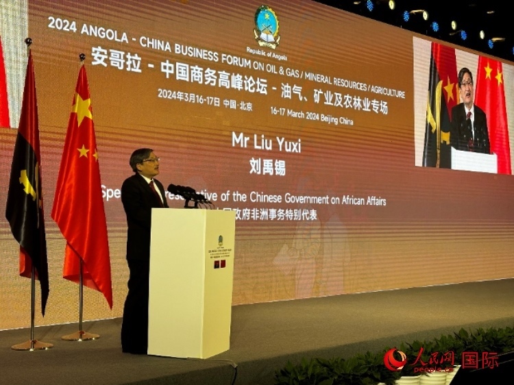 中國政府非洲事務(wù)特別代表劉禹錫。人民網(wǎng)記者 張榮攝