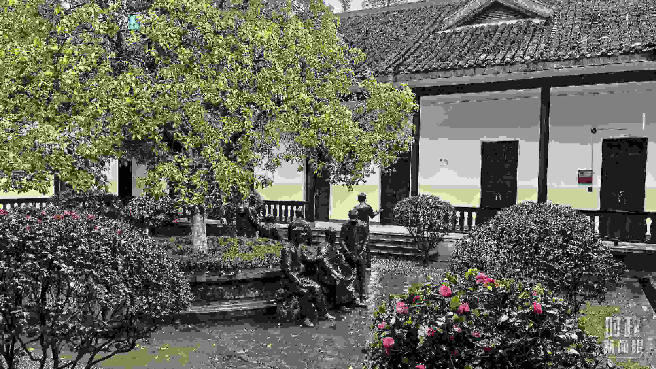 △湖南第一師范學院（城南書院校區(qū)）校園里。（總臺央視記者趙化拍攝）