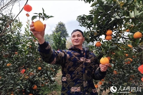 鐵牛村村民趙光進(jìn)。人民網(wǎng)記者 朱虹攝