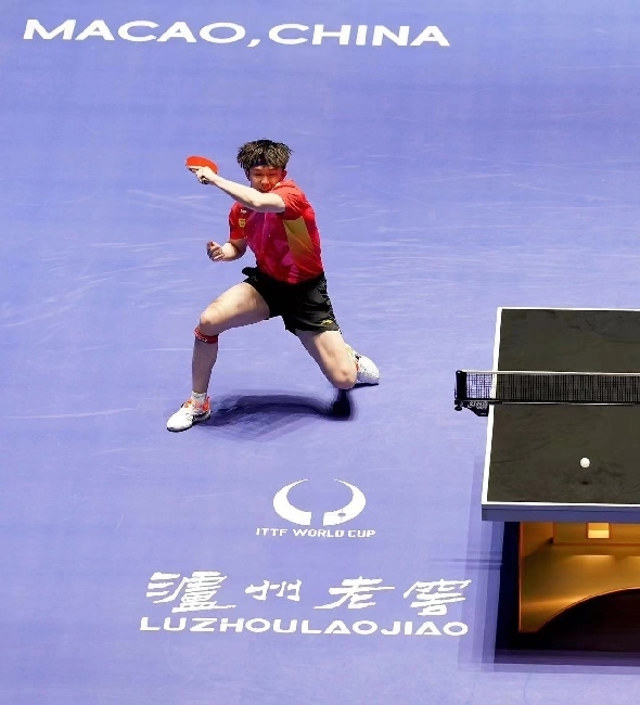 王楚欽在比賽中。賽事方供圖