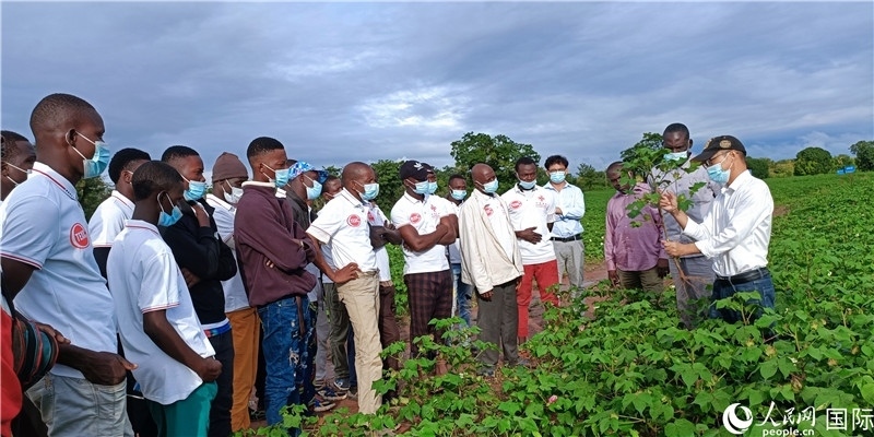 項(xiàng)目組長(zhǎng)首小勇向當(dāng)?shù)孛揶r(nóng)做技術(shù)講解。人民網(wǎng)記者 黃培昭攝