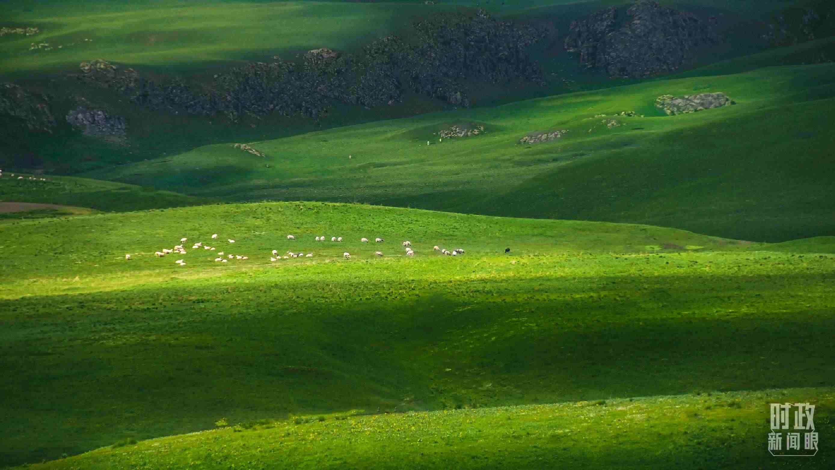 △祁連山草原光影。（圖/視覺中國）