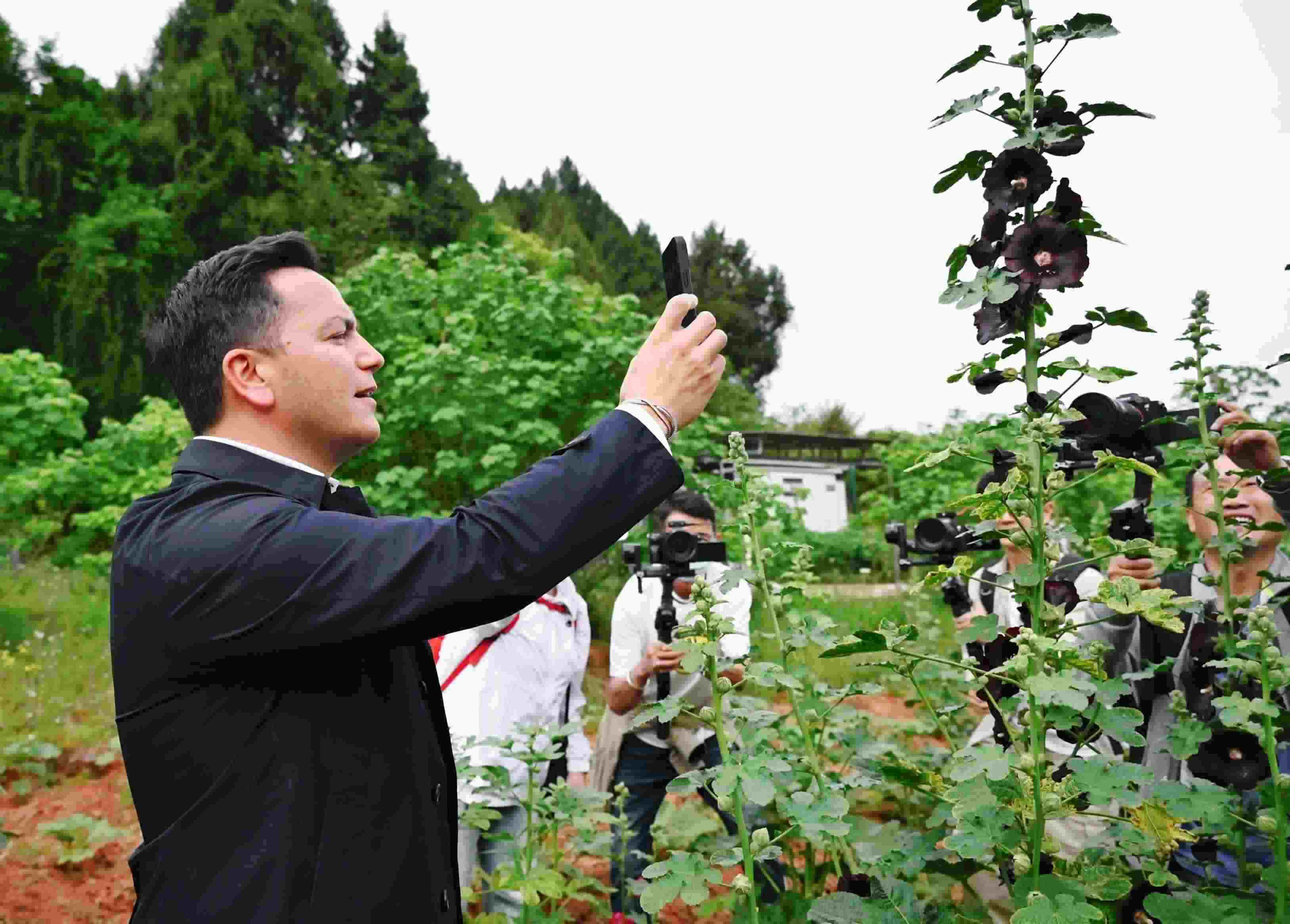  △2024年4月23日，國(guó)際園藝生產(chǎn)者協(xié)會(huì)主席萊昂納多·卡皮塔尼奧在成都市金堂縣鮮花山谷景區(qū)考察蜀葵產(chǎn)業(yè)。