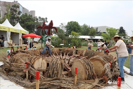 坎波·馬特活動現(xiàn)場。埃內(nèi)斯托·多明戈斯攝