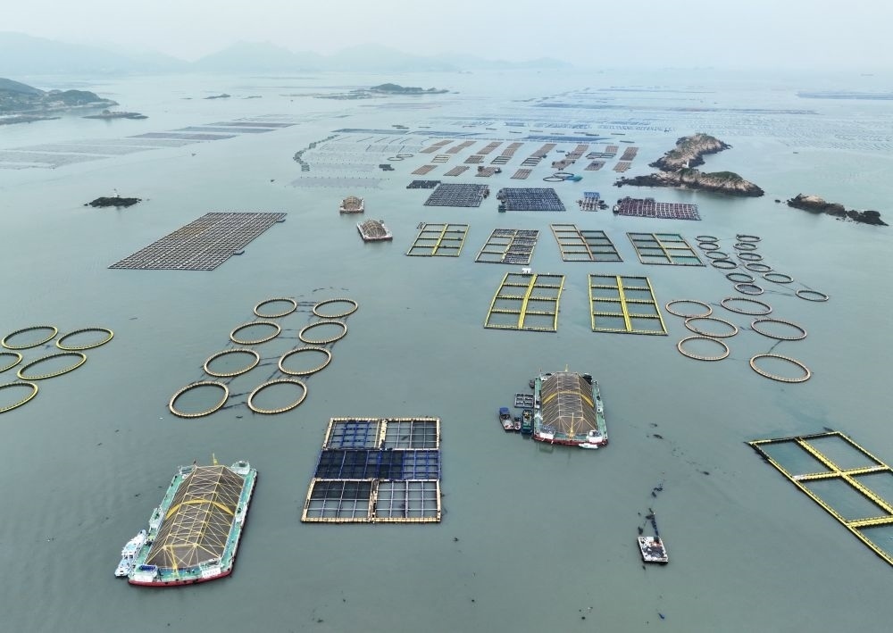 在福建連江定海灣海域，坐落著“定海灣1號”“定海灣2號”等深遠海養(yǎng)殖平臺（2024年5月7日攝，無人機照片）。新華社記者 林善傳 攝