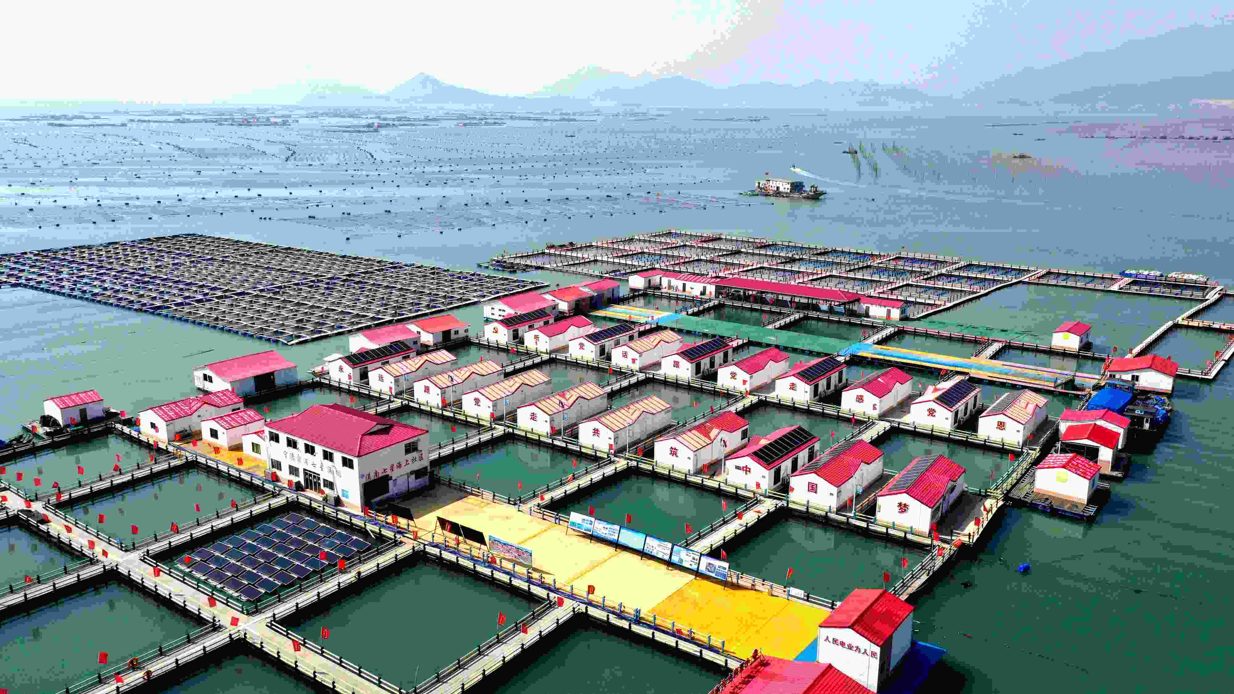 2024年3月20日，福建省寧德市，霞浦縣溪南鎮(zhèn)七星村漁排養(yǎng)殖示范區(qū)，漁民駕駛養(yǎng)殖船進行海參養(yǎng)殖作業(yè)。