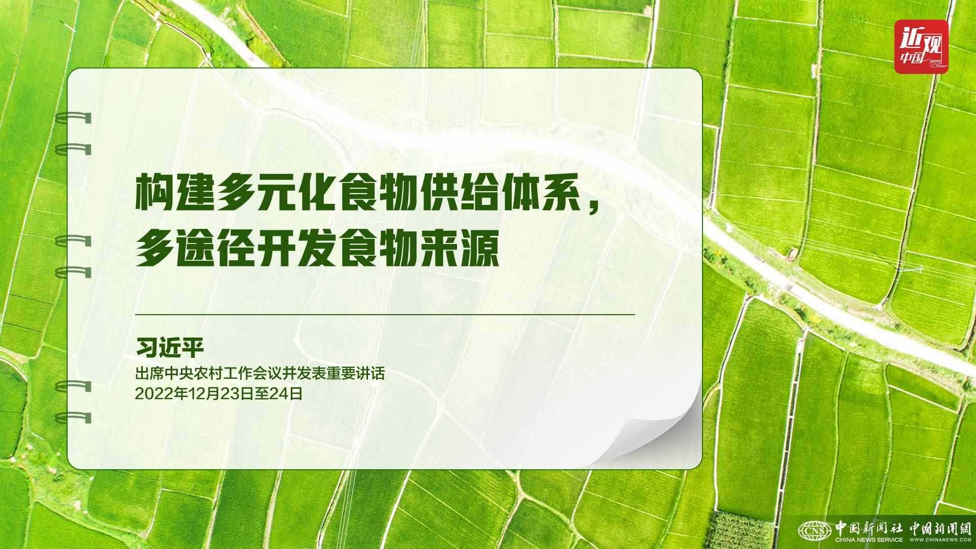 習近平：樹立大食物觀，構建多元化食物供給體系