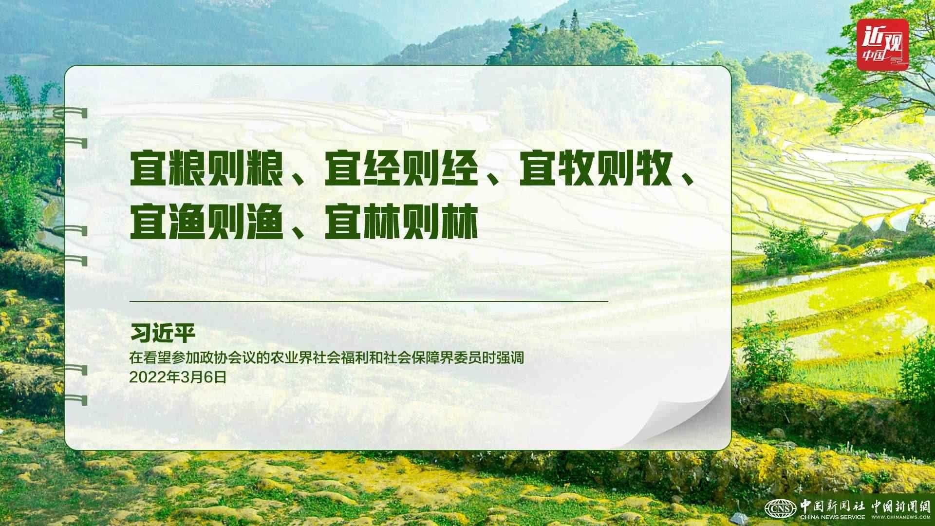 習近平：樹立大食物觀，構建多元化食物供給體系