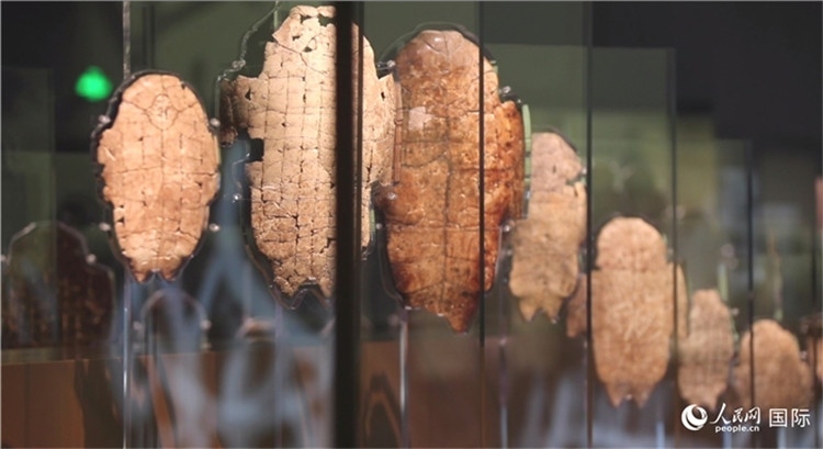 殷墟博物館新館的甲骨展品。人民網(wǎng)記者 劉寧攝