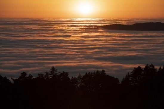 這是5月14日在美國(guó)加利福尼亞州馬林縣拍攝的云海。新華社發(fā)（李建國(guó)攝）