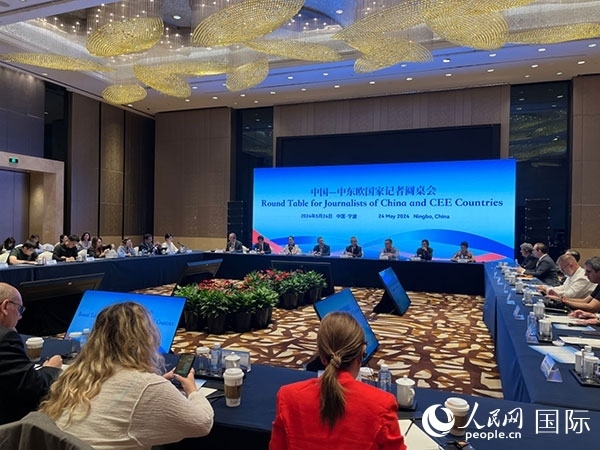 圓桌會現(xiàn)場。人民網(wǎng)記者 周輖攝