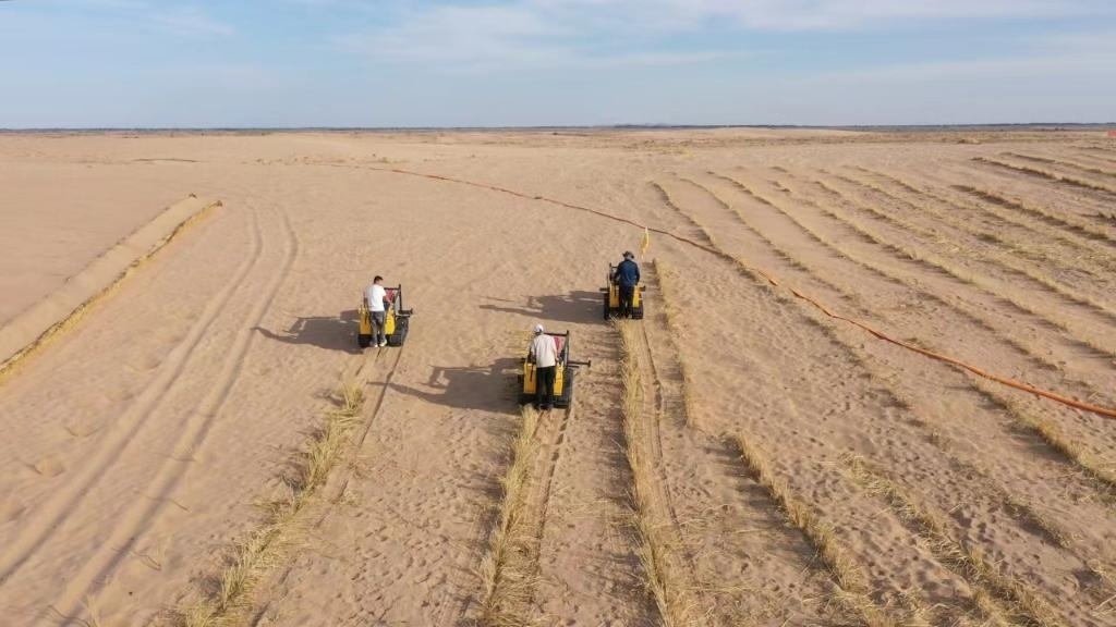 內(nèi)蒙古巴彥淖爾市烏拉特后旗西補(bǔ)隆林業(yè)管護(hù)中心職工駕駛機(jī)械鋪設(shè)壓沙障。新華社記者 李云平 攝