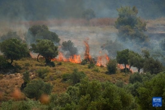 6月12日，以色列北部加利利地區(qū)遭受火箭彈襲擊后冒出滾滾濃煙。新華社發(fā)（阿亞爾·馬戈林?jǐn)z/基尼圖片社）