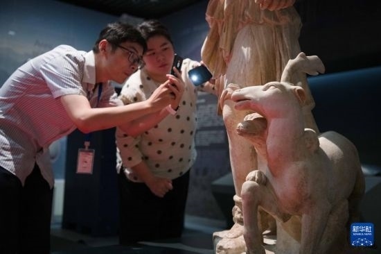 7月2日，安徽博物院工作人員在拍攝開箱后的古希臘文物。新華社記者 張端 攝