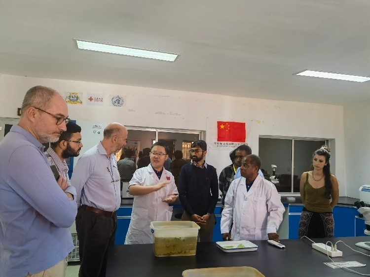 活動(dòng)現(xiàn)場。專家組供圖