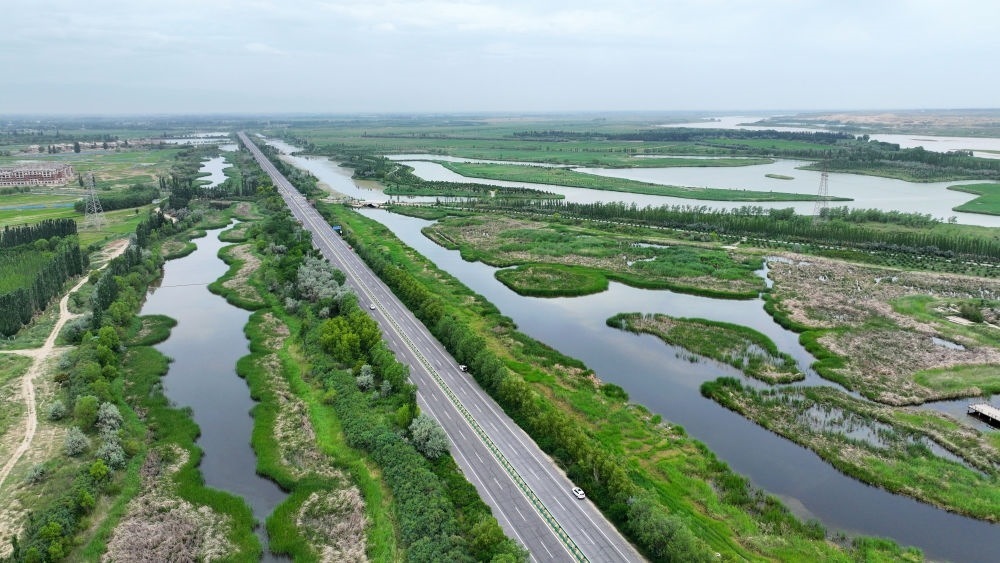 這是2024年6月13日拍攝的黃河寧夏段濱河大道（無人機(jī)照片）。近年來，寧夏努力建設(shè)黃河流域生態(tài)保護(hù)和高質(zhì)量發(fā)展先行區(qū)，全力打好黃河保護(hù)持久戰(zhàn)。新華社記者 王鵬 攝