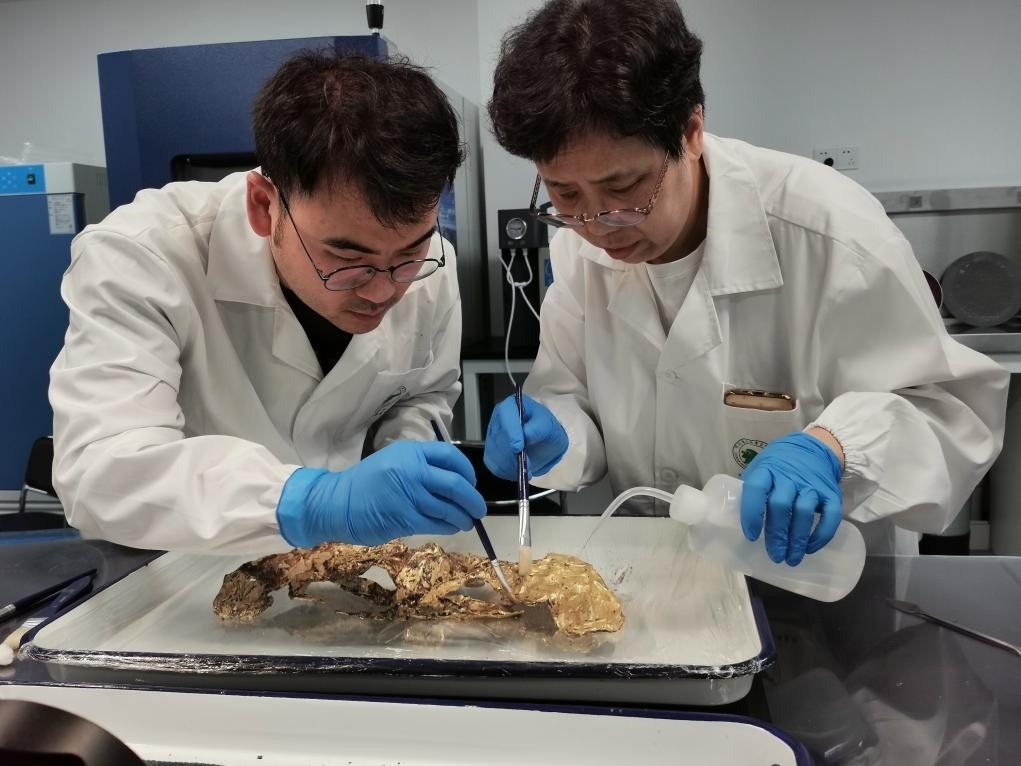 2023年7月，馬燕如（右）帶著魯海子（左）修復(fù)三星堆遺址出土的黃金面具。新華社發(fā)（四川省文物考古研究院供圖）