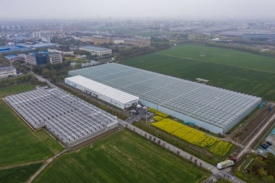 2024年3月28日，空中俯瞰嘉興南湖區(qū)湘家蕩農(nóng)業(yè)數(shù)字化工廠（無人機(jī)照片）。該農(nóng)業(yè)數(shù)字化工廠占地總面積約62畝，包含智慧農(nóng)業(yè)生產(chǎn)、物聯(lián)網(wǎng)智能管理、自動分揀包裝、保鮮儲藏物流、高科技示范展示等五大功能區(qū)，可直接或間接培養(yǎng)帶動新型職業(yè)技術(shù)農(nóng)民500人以上。新華社記者 徐昱 攝