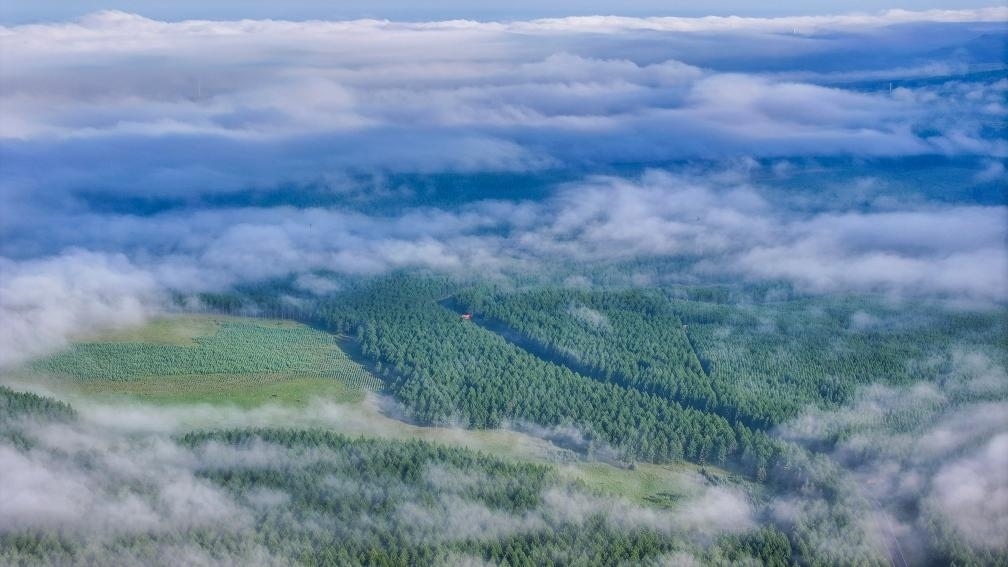 2024年7月26日拍攝的塞罕壩國家級(jí)自然保護(hù)區(qū)景色。新華社發(fā)（劉滿倉 攝）