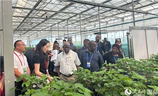 研討班成員在大棚中了解植物種植技術(shù)。人民網(wǎng) 曹欣悅攝