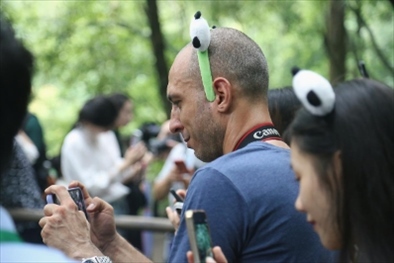 俄羅斯《俄羅斯報》視覺內(nèi)容編輯阿爾圖爾·杰魯諾夫在拍攝熊貓。（李佩藺 攝）