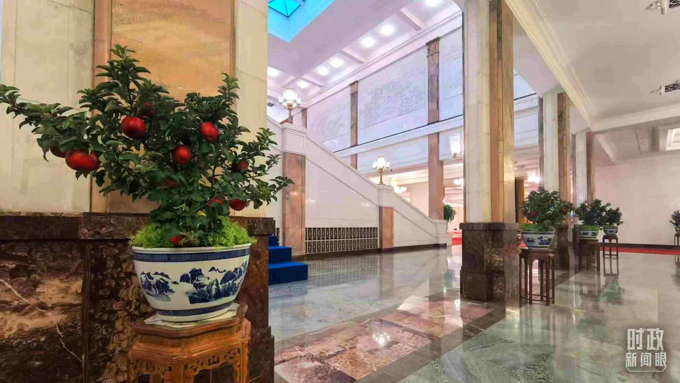  △大會堂內(nèi)的“碩果累累”盆栽。（總臺國廣記者吳倩拍攝）