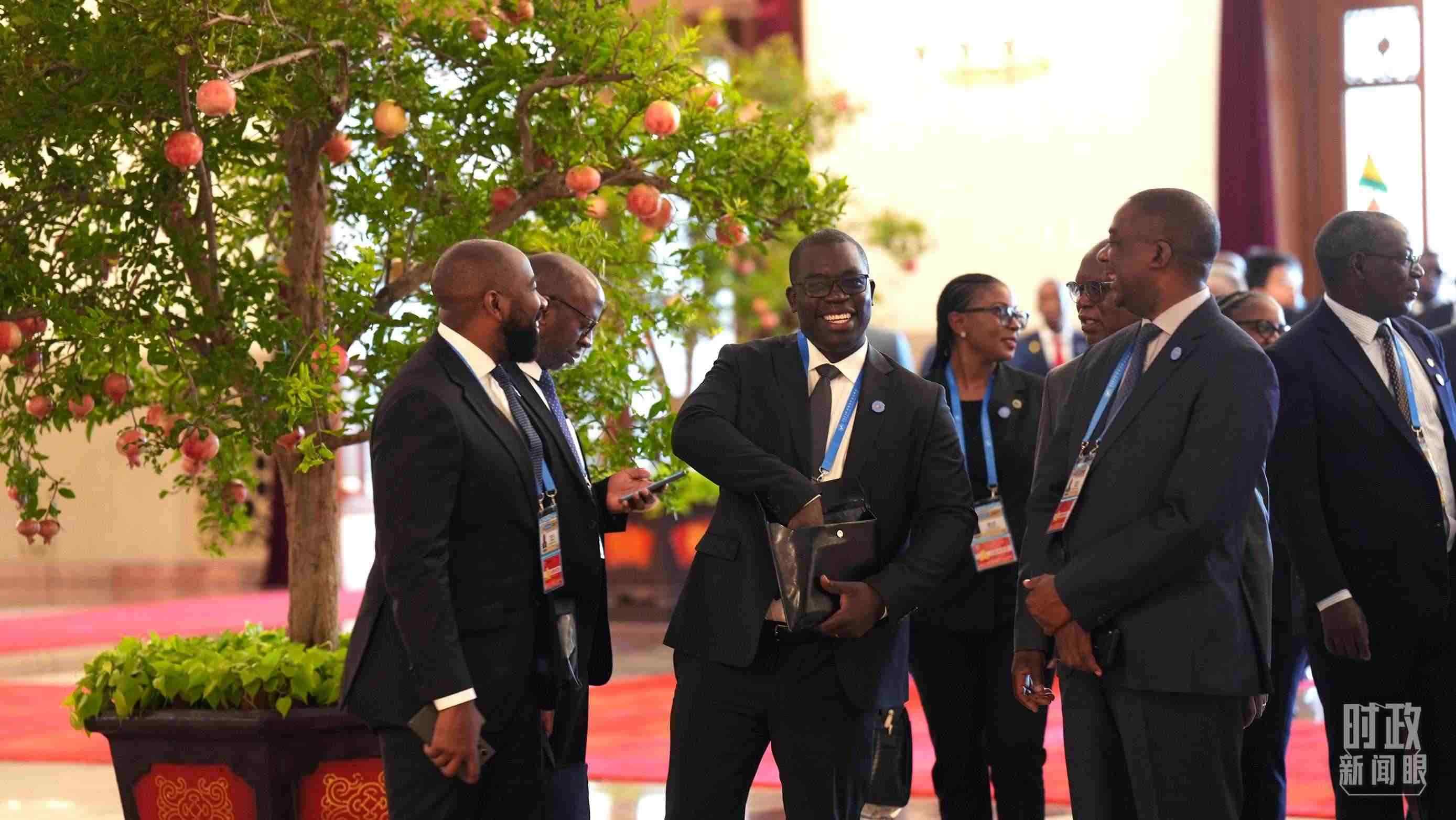 出席中非合作論壇北京峰會(huì)的非洲國(guó)家代表。（總臺(tái)記者李晉拍攝）