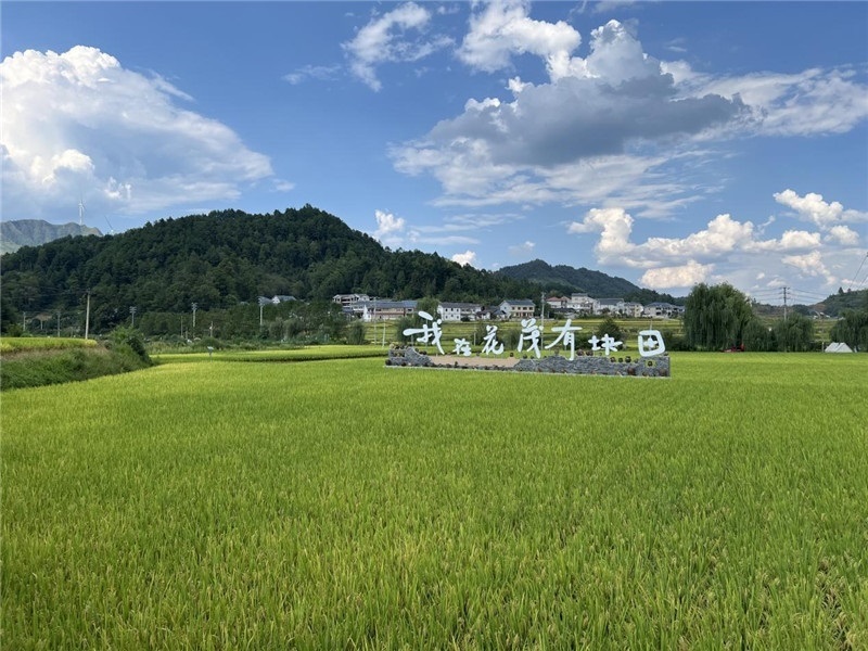 青瓦白磚的黔北民居、風(fēng)中搖曳的稻田、抬手可觸的大片云朵……才剛下車(chē)，格魯吉亞“經(jīng)濟(jì)中心網(wǎng)”總編輯莉安娜·喬爾喬利亞尼就被眼前的景色拖住了步履，喃喃細(xì)語(yǔ)：“實(shí)在太美了，讓我內(nèi)心平靜，在這里生活一定非常安逸和幸福?！保ㄇ褫x攝）