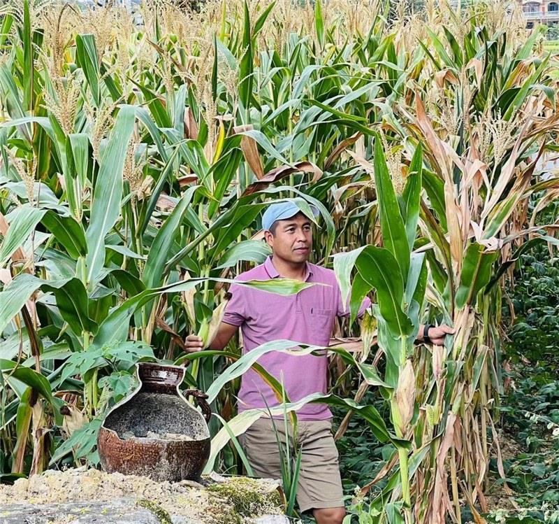 不是攀登石林高臺(tái)，就是鉆入玉米莊稼地，吉爾吉斯斯坦《自由之山報(bào)》總編輯納拉雷·阿桑巴耶夫“身手不凡”，與生長(zhǎng)旺盛的玉米構(gòu)成了花茂村的鄉(xiāng)間野趣。（張亞欣攝）