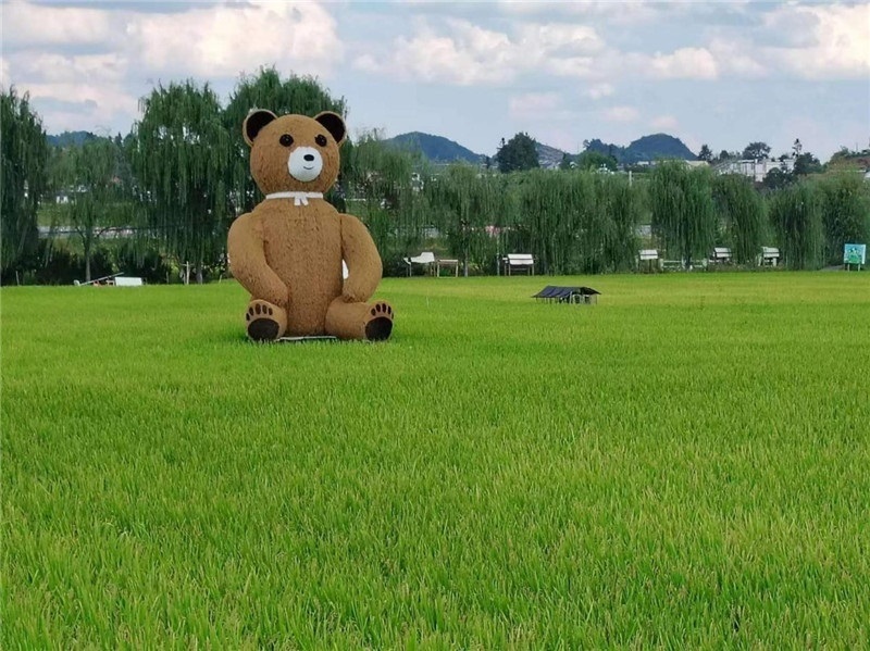 稻穗搖曳，垂柳依依，山嵐多姿，好一幅歲月靜好山鄉(xiāng)恬靜圖。這憨厚俏皮的熊玩偶造型，像是亂入其中，形成現(xiàn)代與傳統(tǒng)、好動(dòng)與寧?kù)o的反差感，讓人過(guò)目不忘，也讓人莞爾一笑。（哈薩克斯坦鳳凰24新聞社總編輯兼首席執(zhí)行官克馬爾·馬山羅攝）
