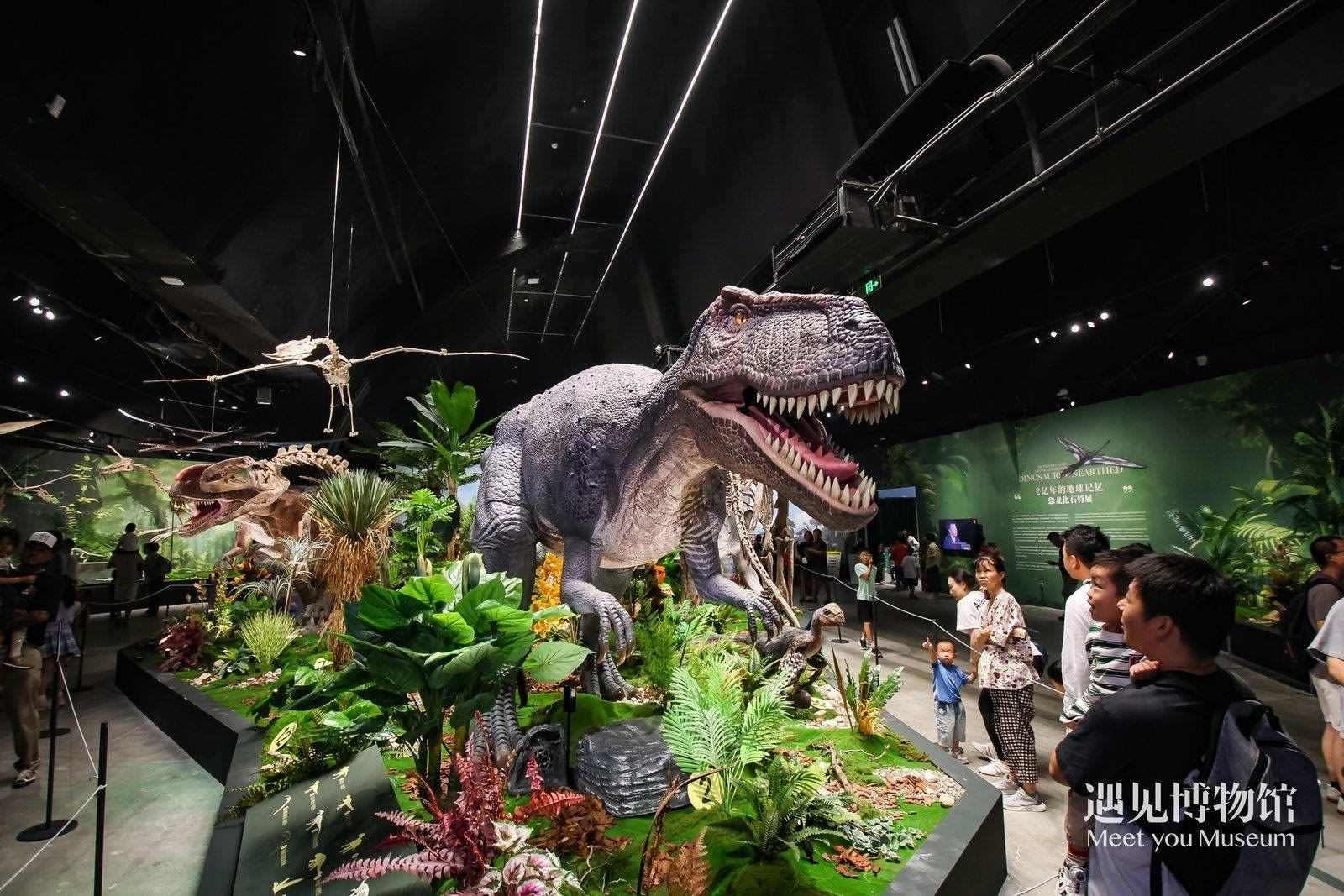 2. 游客參觀“2億年的地球記憶——恐龍化石特展”。遇見博物館供圖