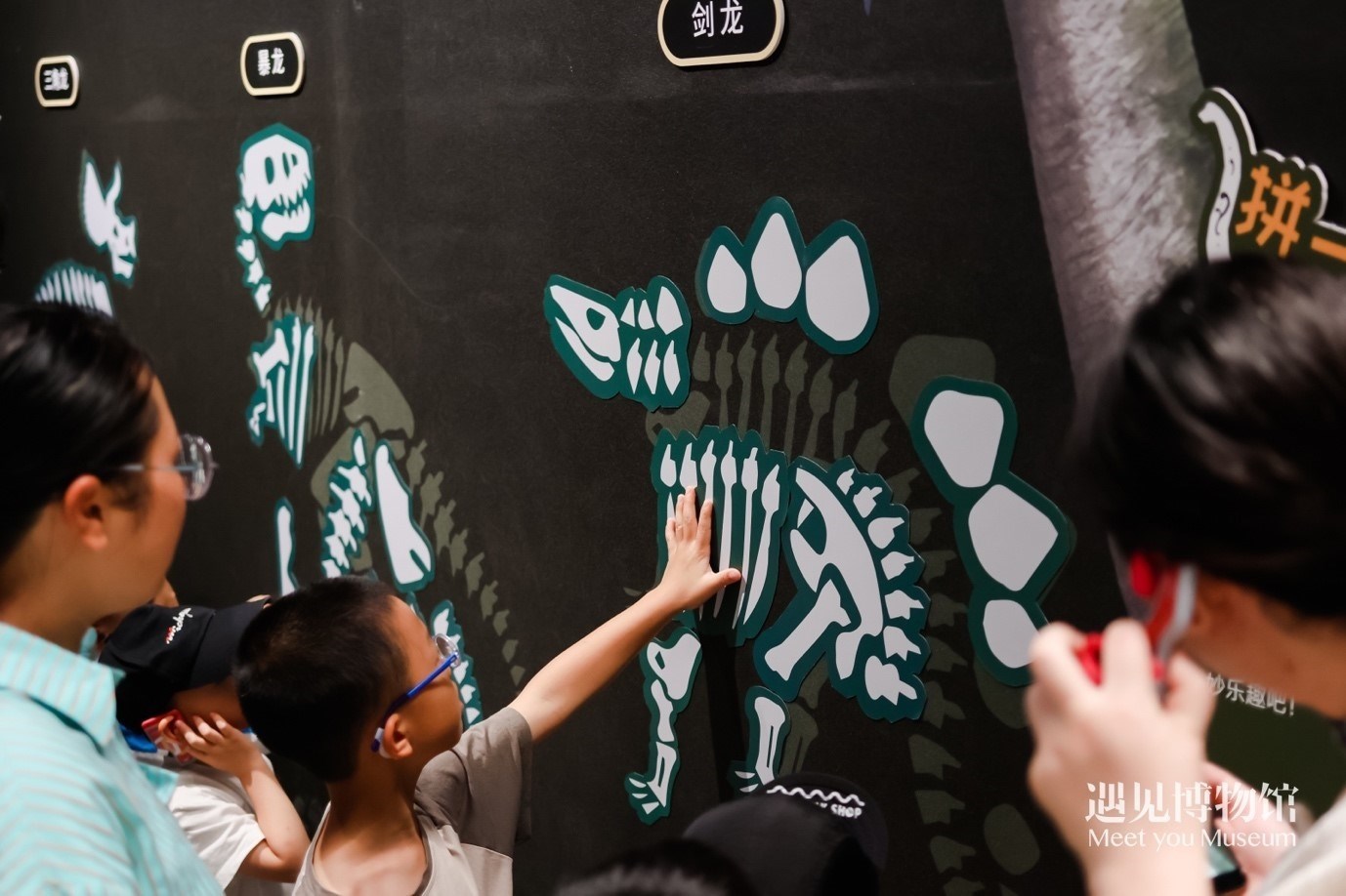 5. “2億年的地球記憶——恐龍化石特展”互動區(qū)域。遇見博物館供圖
