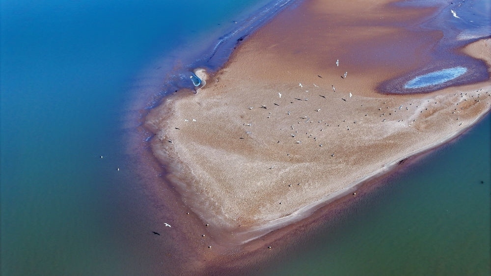 2024年3月1日拍攝的黃河寧夏段（無人機照片）。