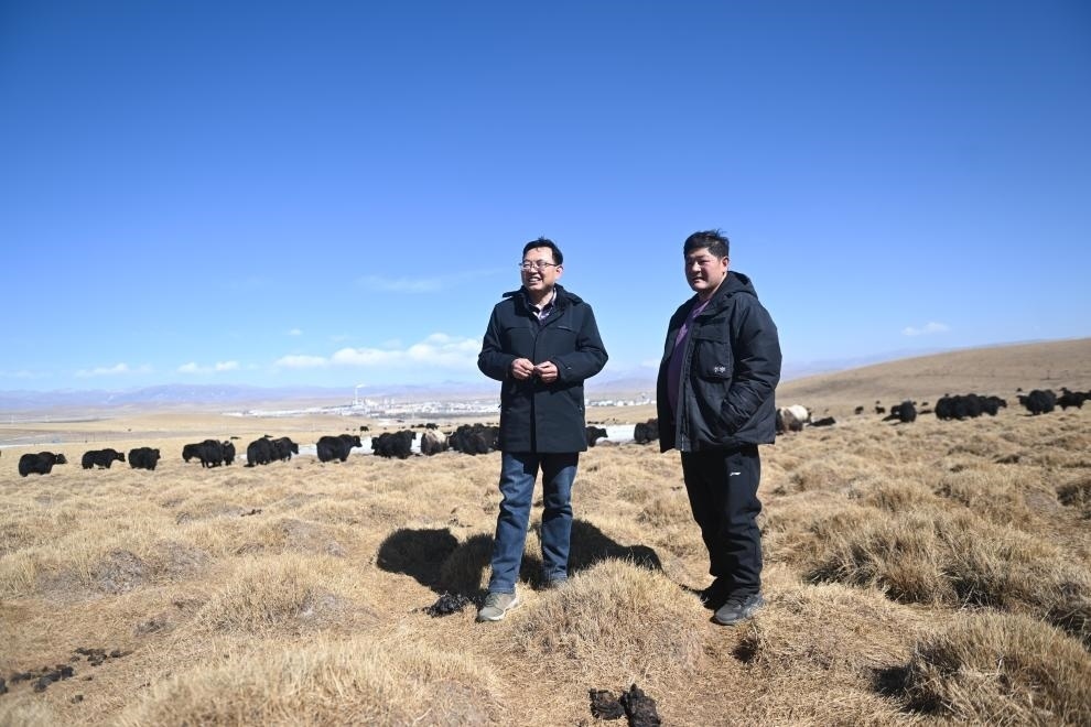 2023年2月24日，在青海省海北藏族自治州海晏縣青海湖鄉(xiāng)達(dá)玉日秀村，全國人大代表董全民（左）查看牧民東知布家的草場。新華社記者 張龍 攝