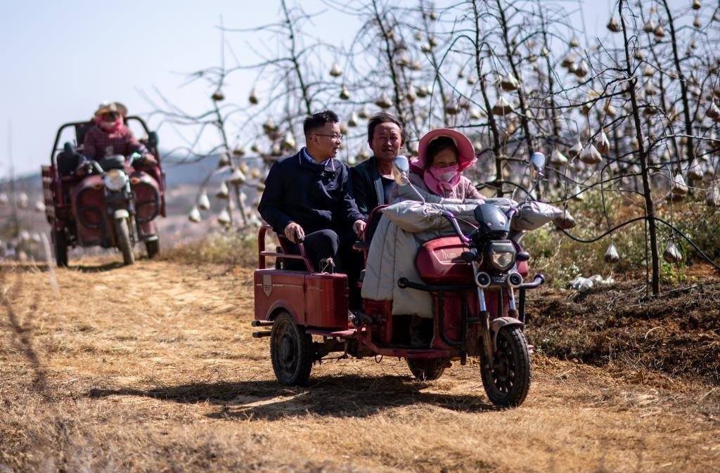 全國人大代表袁海波（右三）在云南省曲靖市馬龍區(qū)一種植基地了解務(wù)工人員就業(yè)需求（2023年2月11日攝）。新華社記者 江文耀 攝