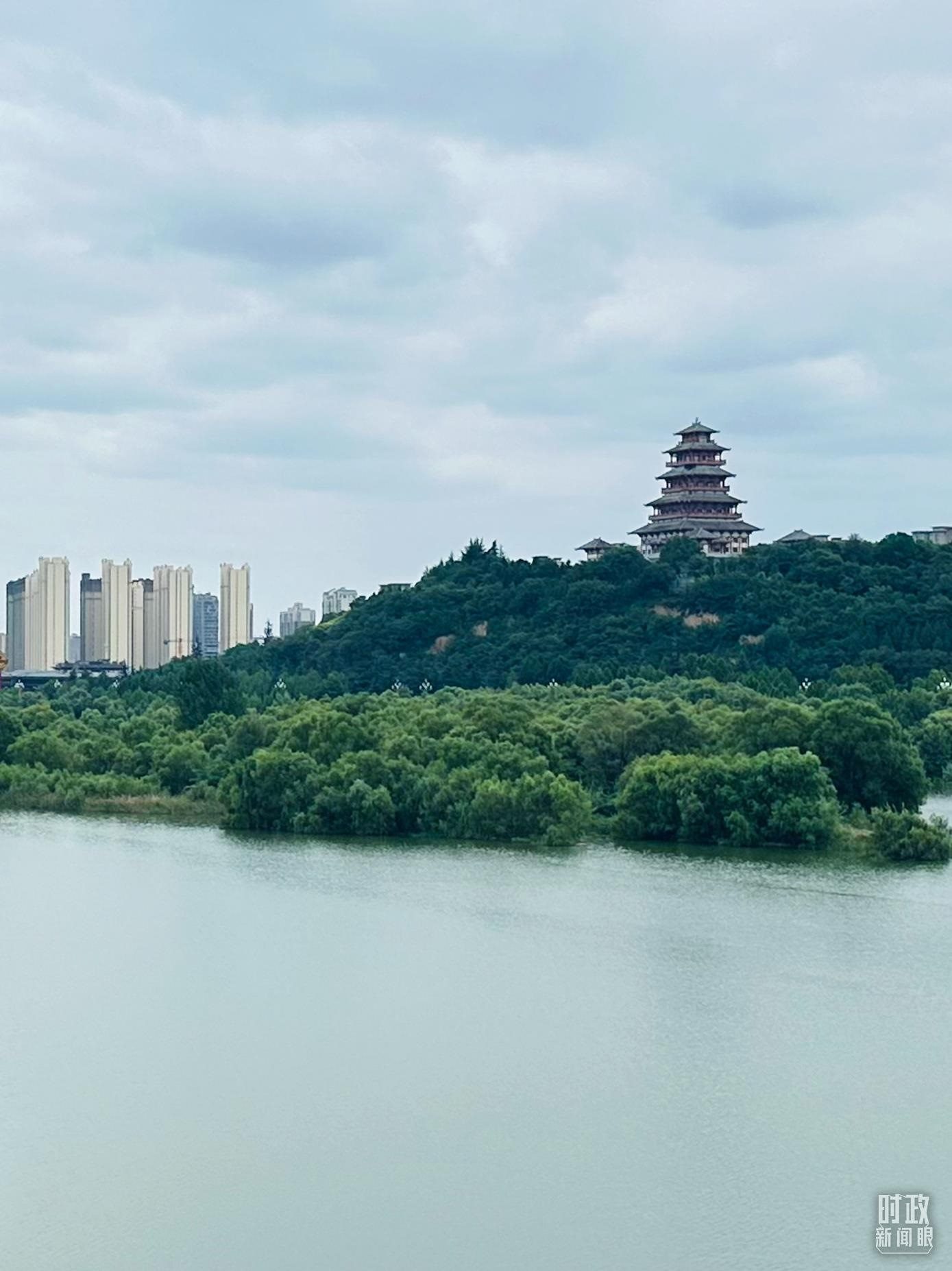 △渭河寶雞段長(zhǎng)224公里，目前建成17處渭河灘區(qū)生態(tài)涵養(yǎng)區(qū)。（總臺(tái)央視記者范一鳴拍攝）