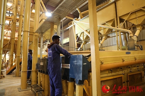 在Bule Hora咖啡加工廠里工作的當(dāng)?shù)毓と藗?。人民網(wǎng)記者 沈小曉攝