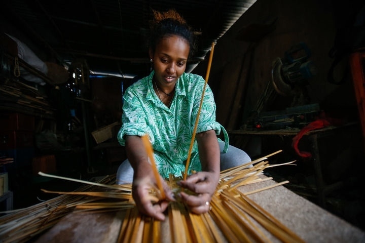 2024年8月10日，菲基爾特·加布雷在埃塞俄比亞首都亞的斯亞貝巴名為“綠色金子”的竹藤工作室里加工竹制產(chǎn)品。新華社發(fā)（邁克爾·特韋爾德 攝）