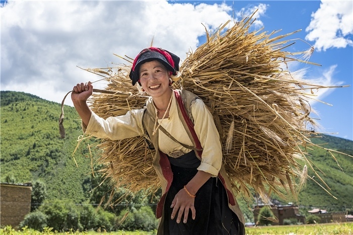 康定市甲根壩鎮(zhèn)青稞豐收，農(nóng)牧民臉上洋溢著豐收的喜悅。林革文攝