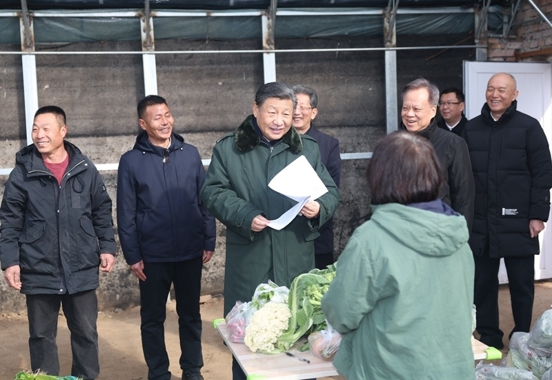 2024年2月1日，習(xí)近平總書記在天津市西青區(qū)辛口鎮(zhèn)第六埠村，走進(jìn)大棚同菜農(nóng)親切交流。
