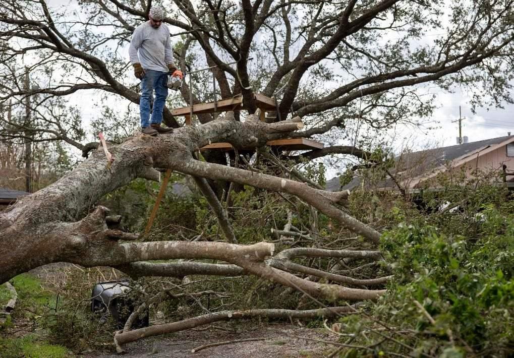 2021年8月30日，在美國路易斯安那州霍馬，一名男子站在被颶風吹倒的大樹上。新華社發(fā)（尼克·瓦格納 攝）