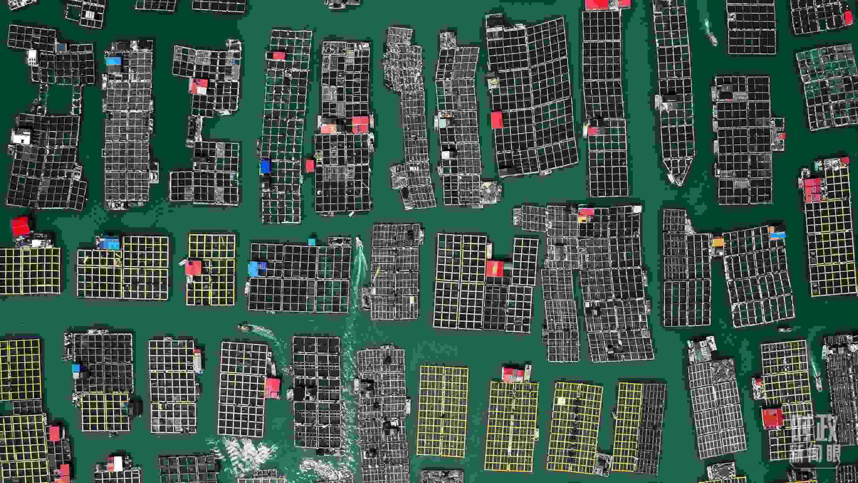 △澳角村。（總臺記者李晉拍攝）