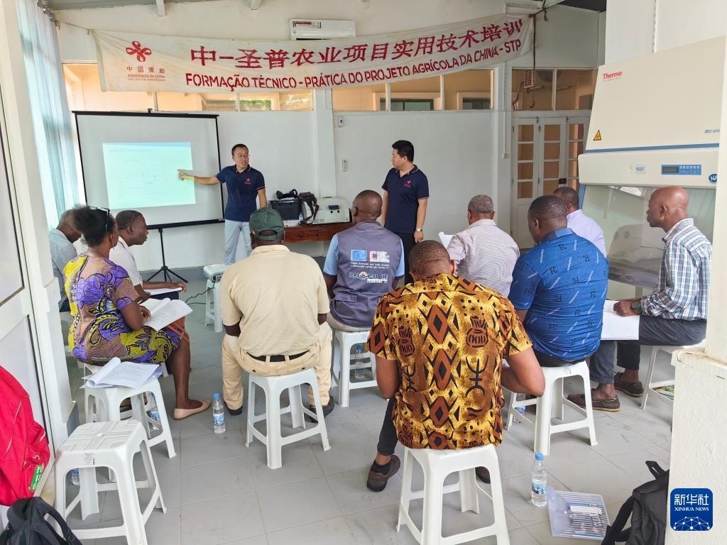 中國援圣普農(nóng)牧業(yè)技術(shù)項目組專家段振華（后左）在圣多美和普林西比的國家獸醫(yī)實驗室開展動物疫病監(jiān)測技術(shù)培訓(xùn)（2024年6月21日攝）。新華社發(fā)（中國援圣普農(nóng)技組供圖）