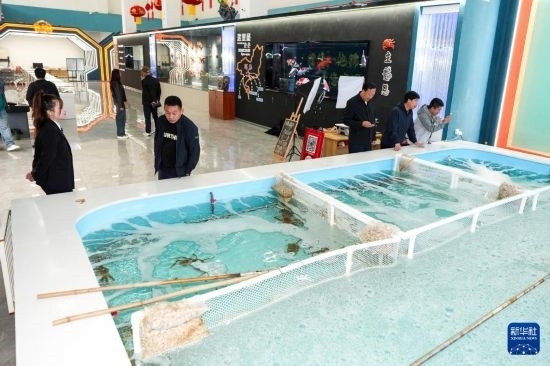 9月20日，游客在吉林省琿春市的帝王蟹保稅店內(nèi)選購帝王蟹。新華社記者 許暢 攝