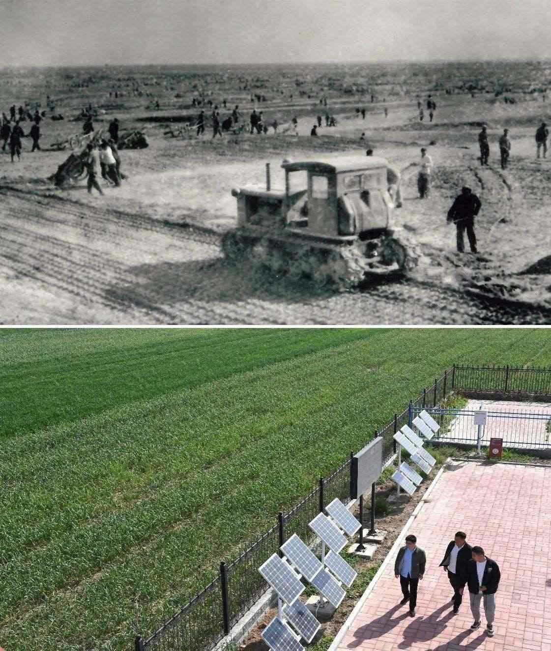 上圖為二十世紀(jì)六十年代蘭考改造鹽堿地的情景（資料照片）；下圖為2024年4月18日拍攝的蘭考縣紅廟鎮(zhèn)高標(biāo)準(zhǔn)農(nóng)田示范區(qū)。（新華社記者 朱祥 攝）