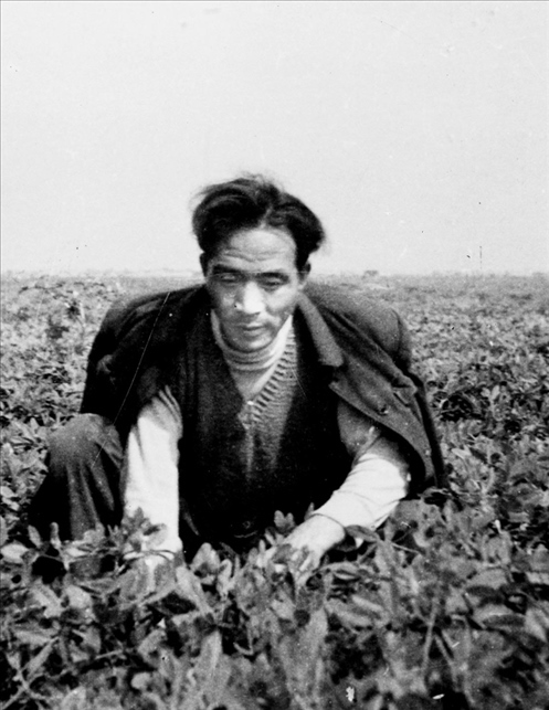 在蘭考期間，焦裕祿在田間勞動(dòng)的情景。