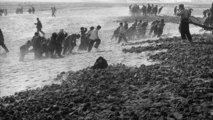 蘭考群眾在拉淤土壓沙。（新華社記者 鄧歷耕 攝）