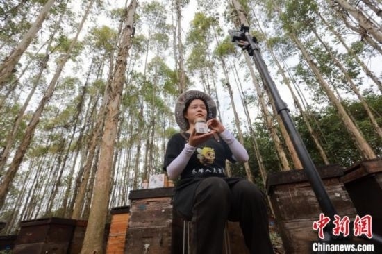 吳素英在網(wǎng)絡平臺直播介紹蜜蜂和養(yǎng)蜂情況。湯曉逵 攝