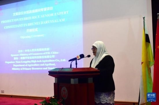 10月26日，文萊初級資源與旅游部常任秘書圖蒂亞蒂在斯里巴加灣市出席中國與文萊雜交水稻高級專家顧問項目啟動儀式。新華社記者 李萌 攝